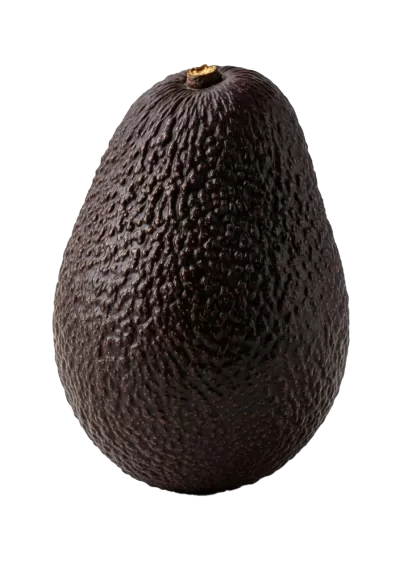 Imagen PNG para descargar